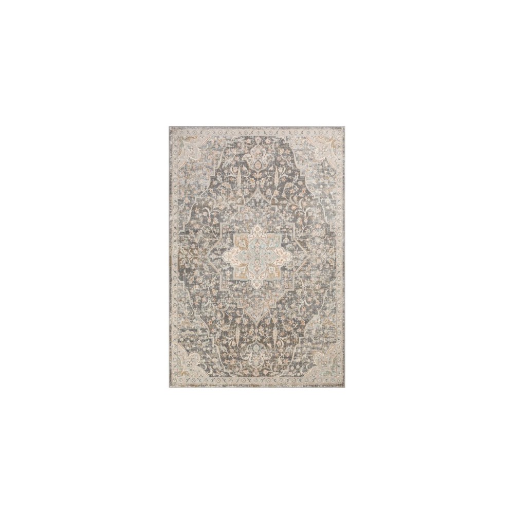 Surya Dryden DDN-2301 6'7" x 9'6" Rug Surya Dryden DDN-2301 6'7" x 9'6" Rug