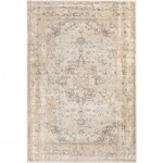 Surya Dryden DDN-2302 2' x 3' Rug