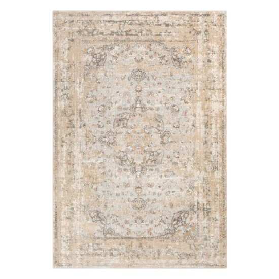 Surya Dryden DDN-2302 2' x 3' Rug