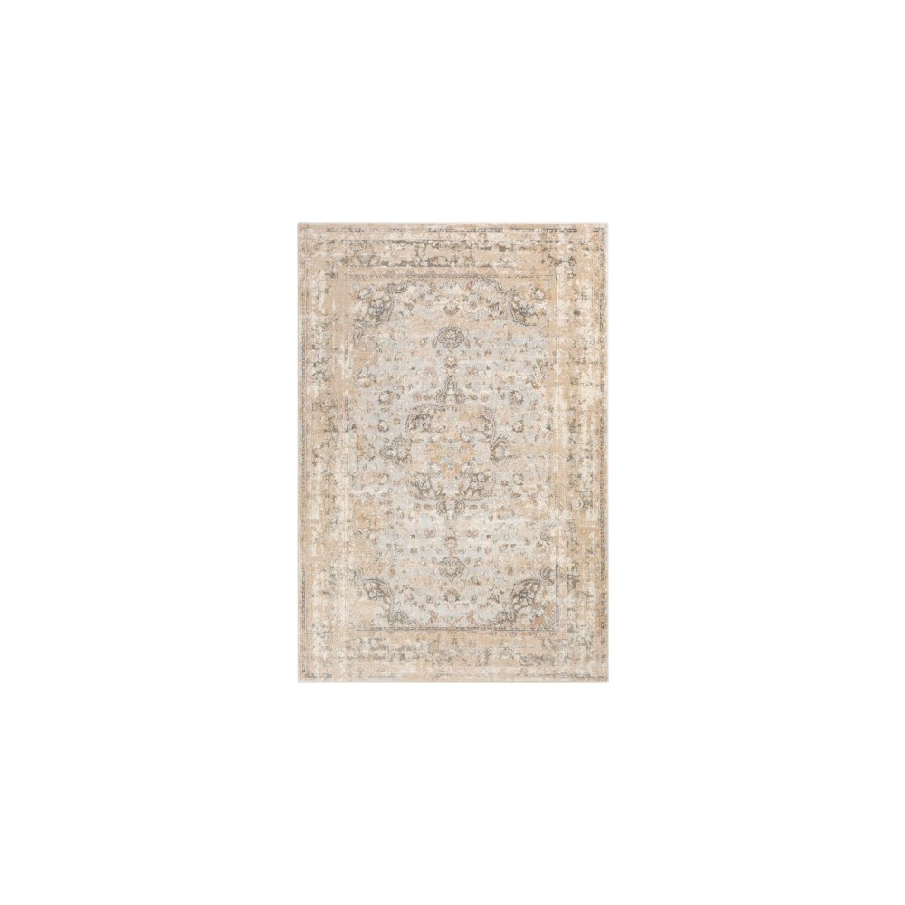 Surya Dryden DDN-2302 2' x 3' Rug