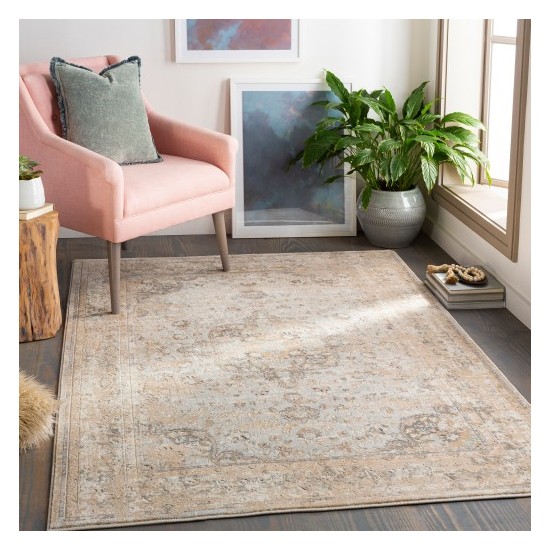 Surya Dryden DDN-2302 2' x 3' Rug