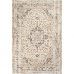 Surya Dryden DDN-2303 2' x 3' Rug