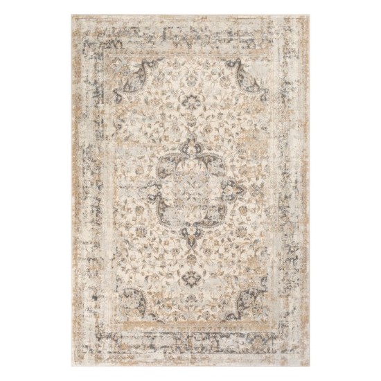 Surya Dryden DDN-2303 2' x 3' Rug