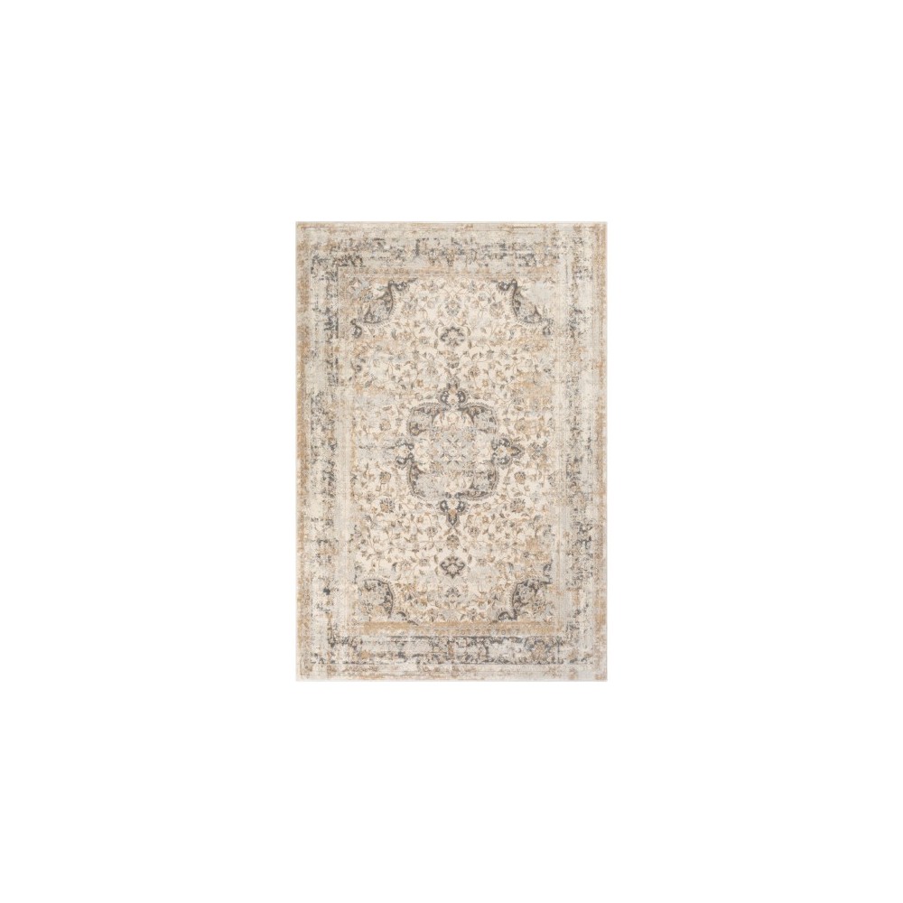 Surya Dryden DDN-2303 2' x 3' Rug