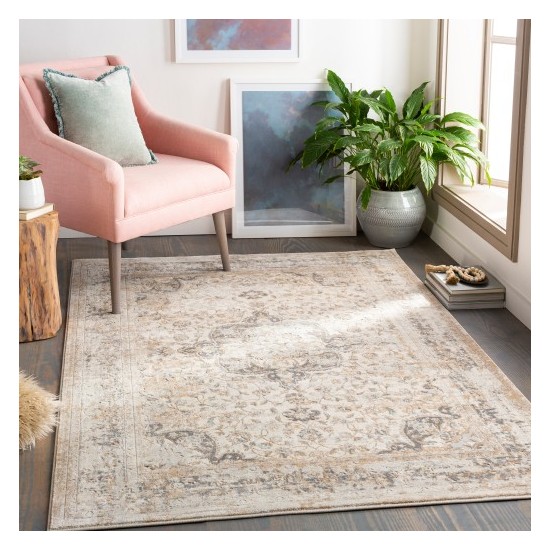 Surya Dryden DDN-2303 2' x 3' Rug