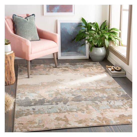 Surya Dryden DDN-2304 2' x 3' Rug