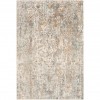 Surya Dryden DDN-2305 2' x 3' Rug
