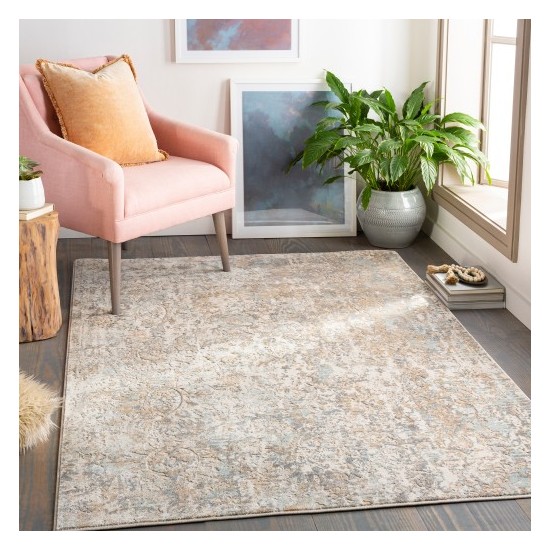 Surya Dryden DDN-2305 2' x 3' Rug