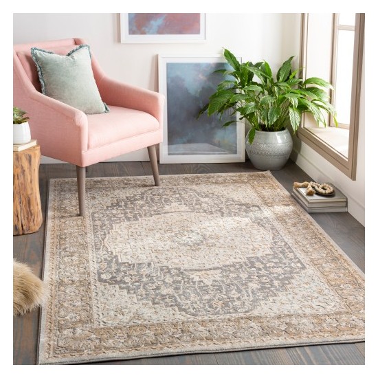 Surya Dryden DDN-2306 6'7" x 9'6" Rug