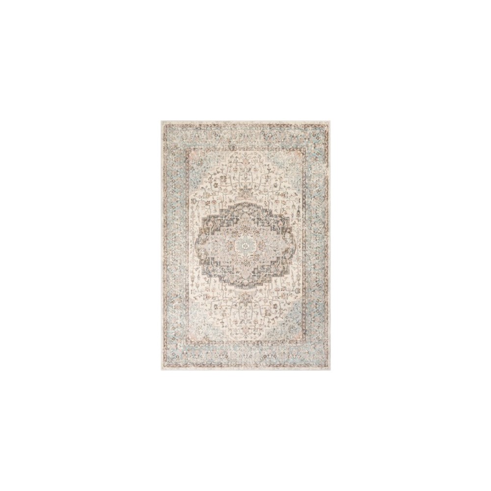 Surya Dryden DDN-2307 2' x 3' Rug Surya Dryden DDN-2307 2' x 3' Rug