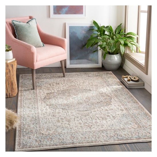 Surya Dryden DDN-2307 2' x 3' Rug