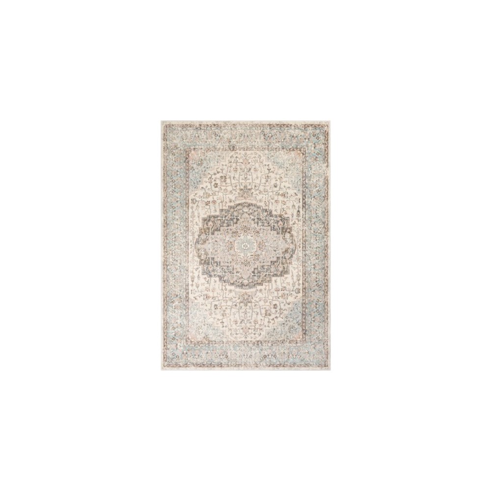 Surya Dryden DDN-2307 5'3" x 7'3" Rug