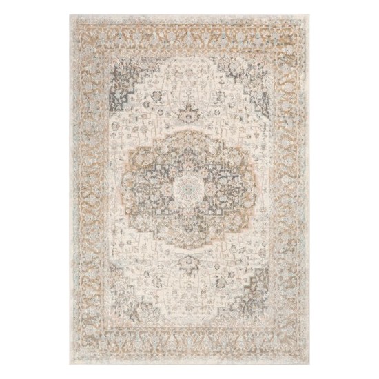 Surya Dryden DDN-2308 2' x 3' Rug