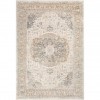 Surya Dryden DDN-2308 2' x 3' Rug