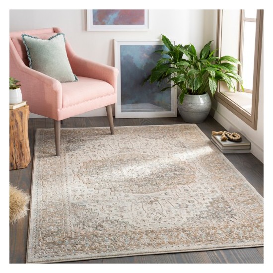 Surya Dryden DDN-2308 2' x 3' Rug