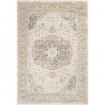 Surya Dryden DDN-2308 6'7" x 9'6" Rug