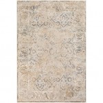 Surya Dryden DDN-2310 2' x 3' Rug