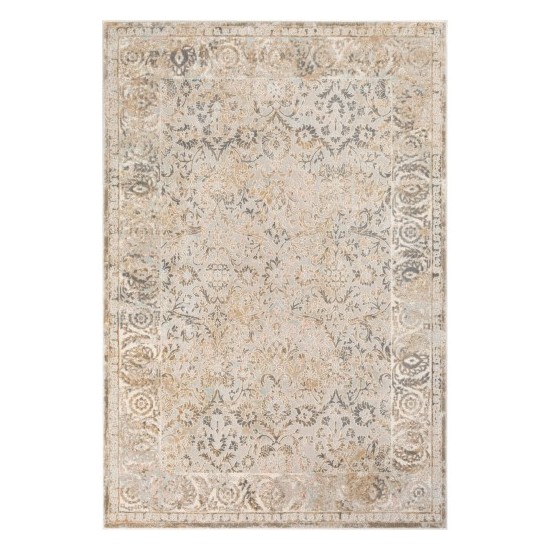 Surya Dryden DDN-2310 2' x 3' Rug