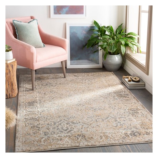 Surya Dryden DDN-2310 2' x 3' Rug