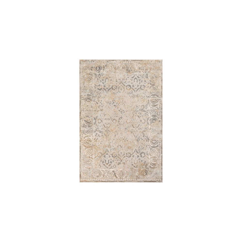Surya Dryden DDN-2310 6'7" x 9'6" Rug Surya Dryden DDN-2310 6'7" x 9'6" Rug