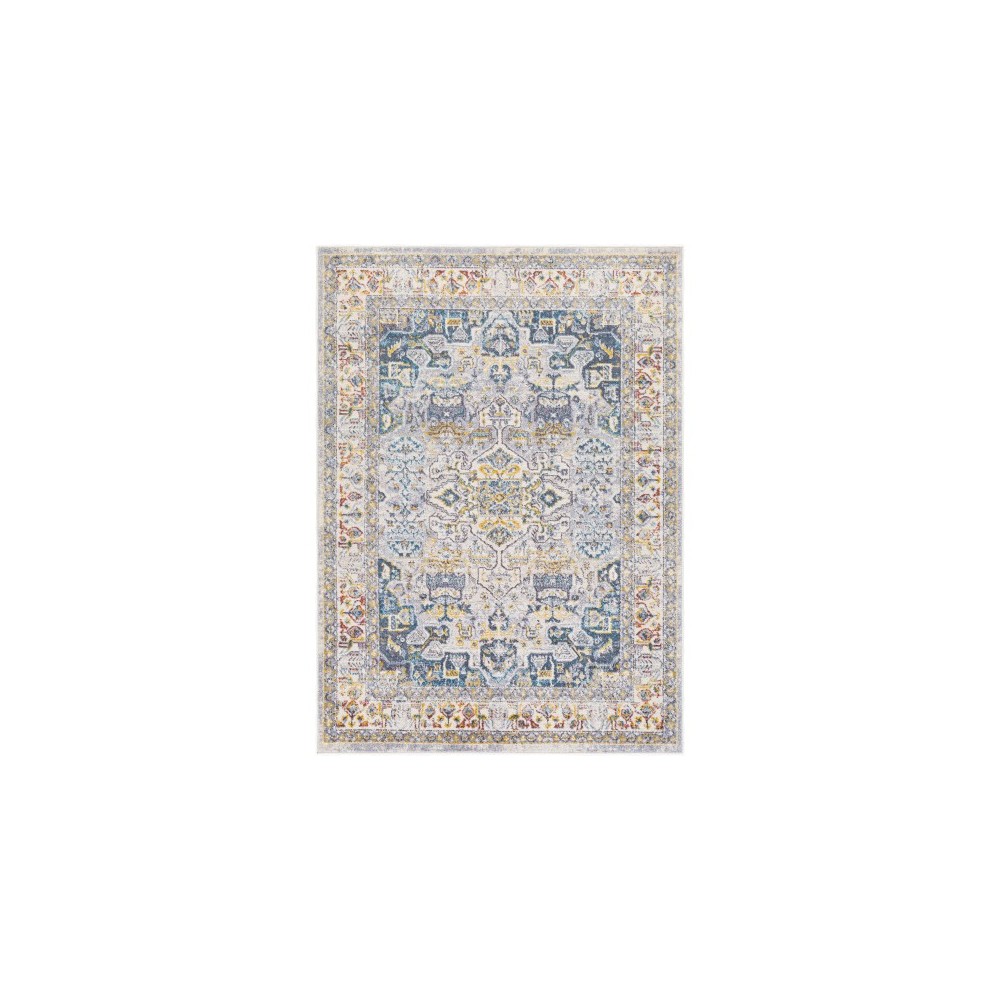 Surya Ankara AKR-2319 6'7" x 9' Rug