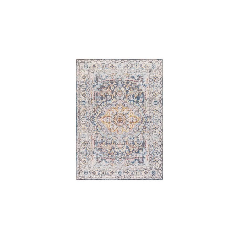 Surya Ankara AKR-2320 7'10" x 10'3" Rug Surya Ankara AKR-2320 7'10" x 10'3" Rug