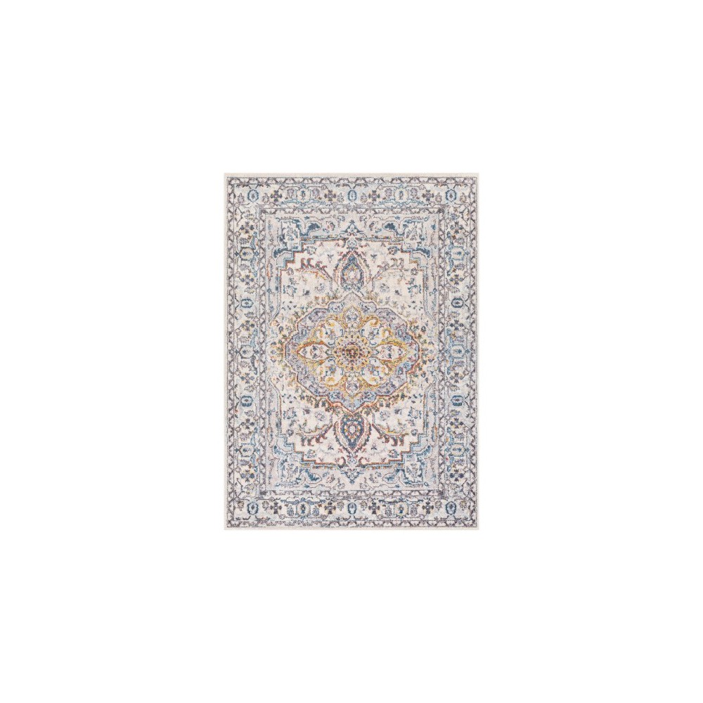 Surya Ankara AKR-2321 6'7" x 9' Rug