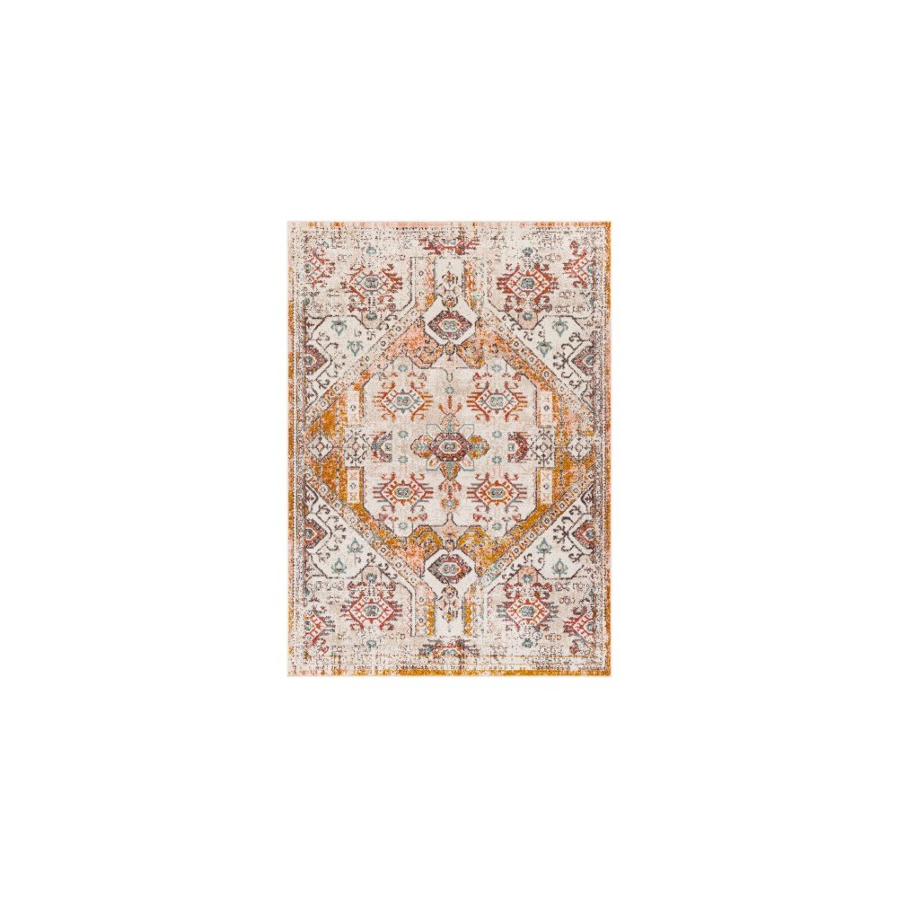 Surya Ankara AKR-2323 7'10" x 10'3" Rug