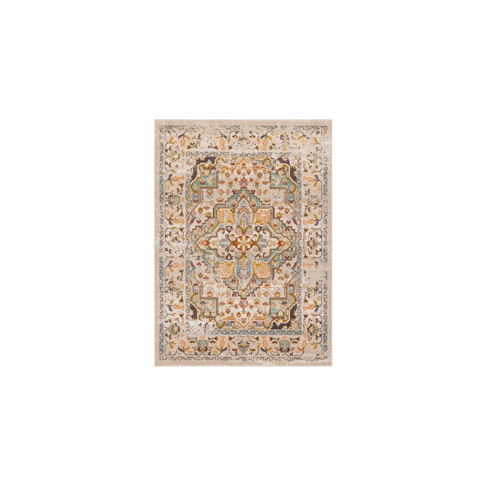 Surya Ankara AKR-2330 6'7" x 9' Rug