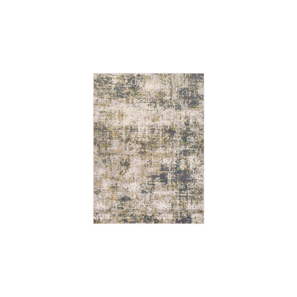 Surya Ankara AKR-2342 7'10" x 10'3" Rug Surya Ankara AKR-2342 7'10" x 10'3" Rug