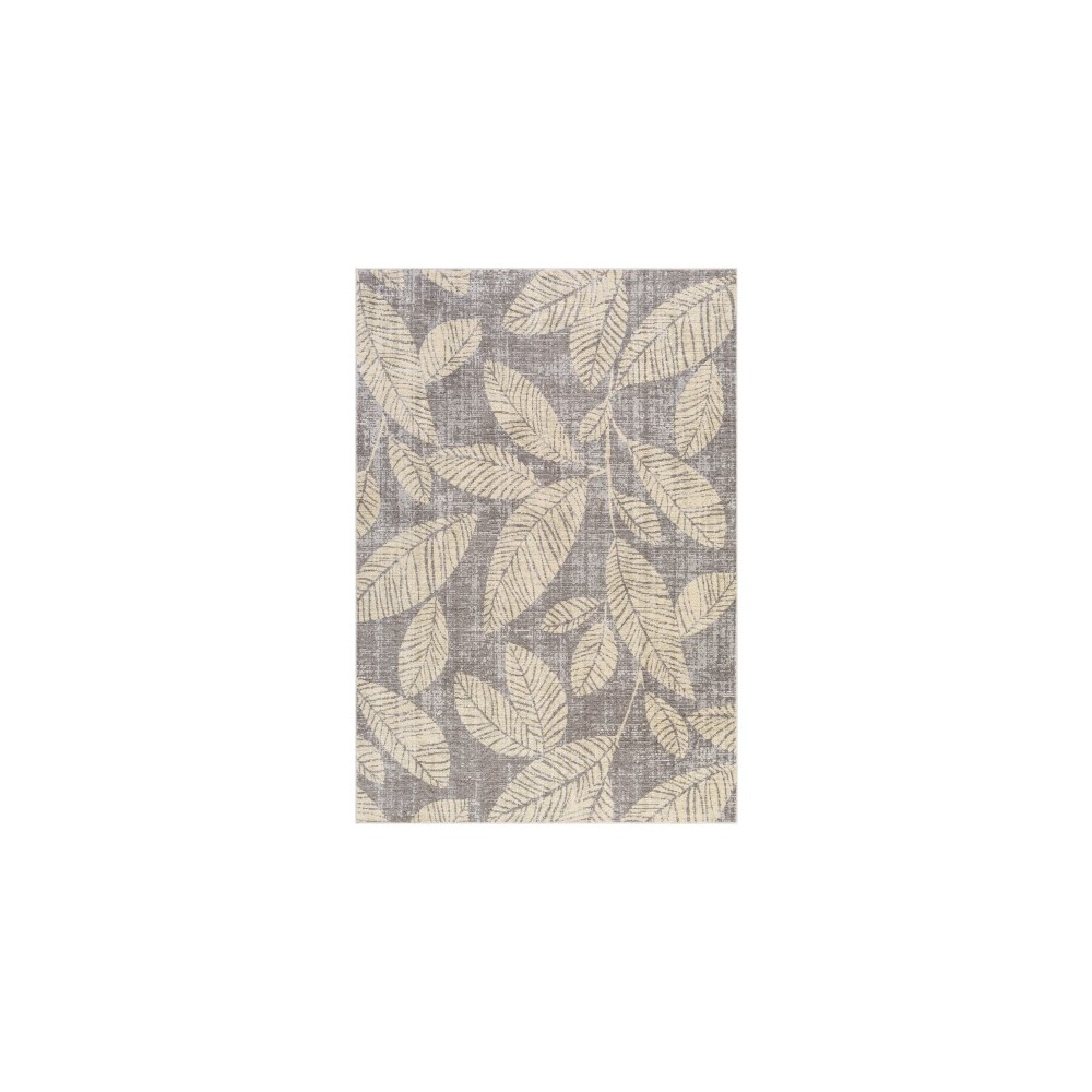 Surya Bodrum BDM-2322 5'3" x 7'3" Rug