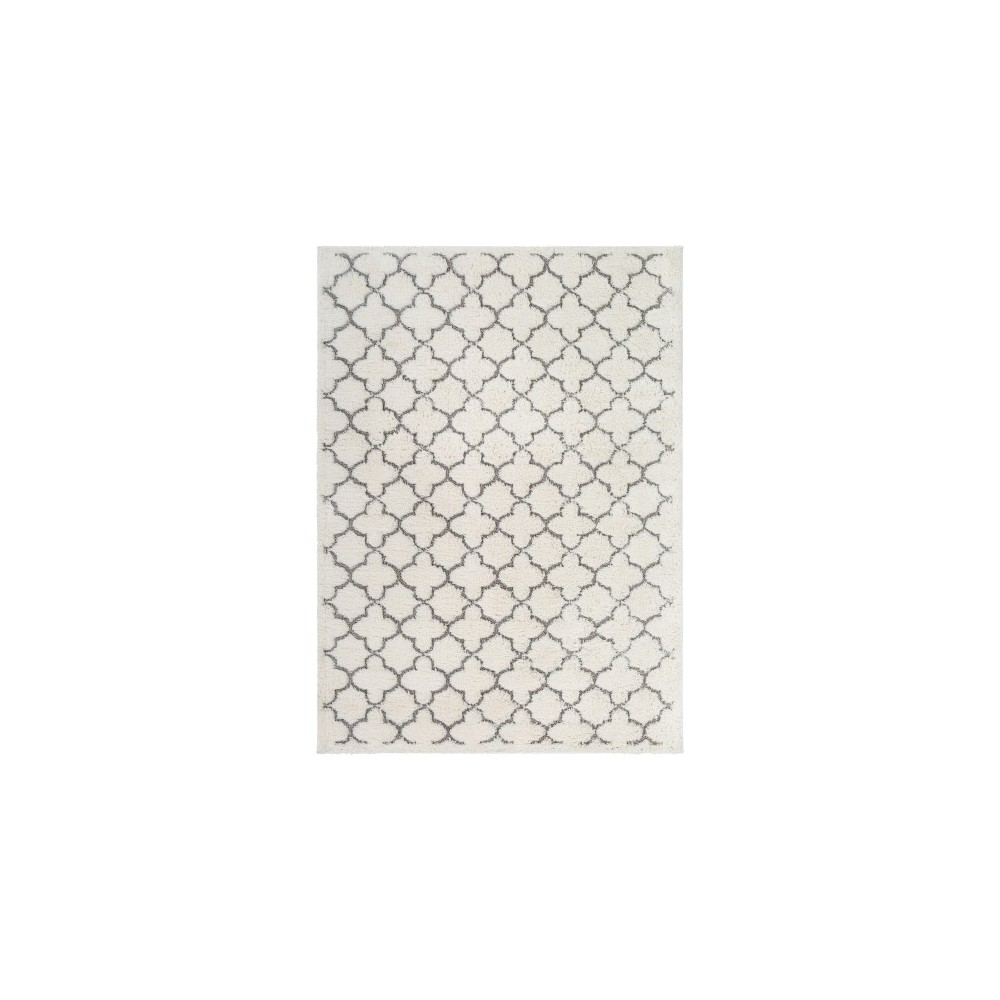 Surya Elenor ENR-2321 5'3" x 7'3" Rug Surya Elenor ENR-2321 5'3" x 7'3" Rug