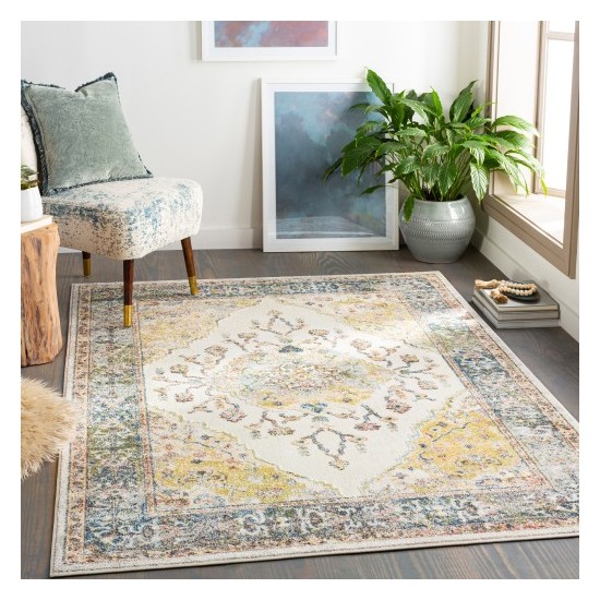 Surya New Mexico NWM-2320 2' x 3' Rug