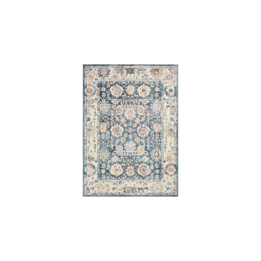 Surya New Mexico NWM-2322 5'3" x 7'3" Rug