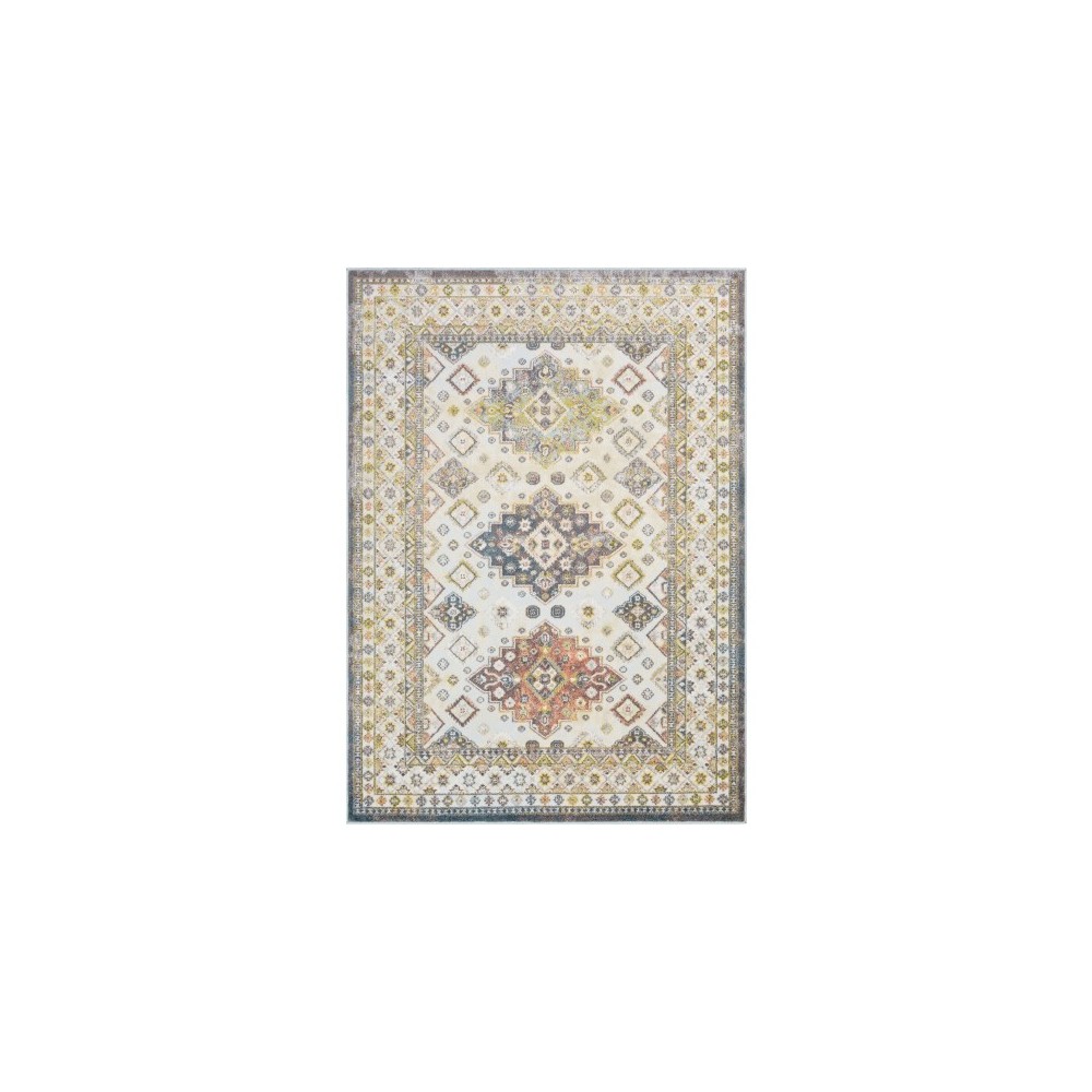 Surya New Mexico NWM-2330 2' x 3' Rug