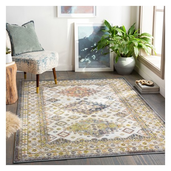 Surya New Mexico NWM-2330 7'10" x 10'3" Rug