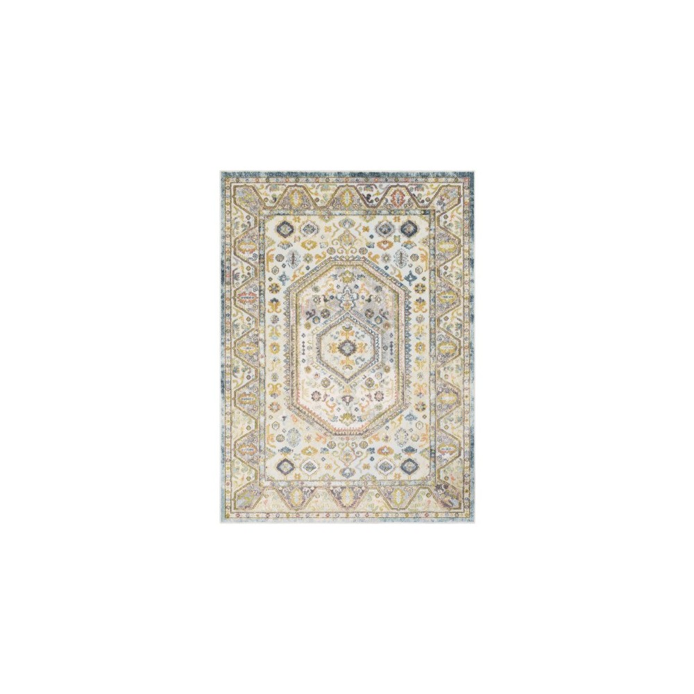 Surya New Mexico NWM-2331 2' x 3' Rug Surya New Mexico NWM-2331 2' x 3' Rug