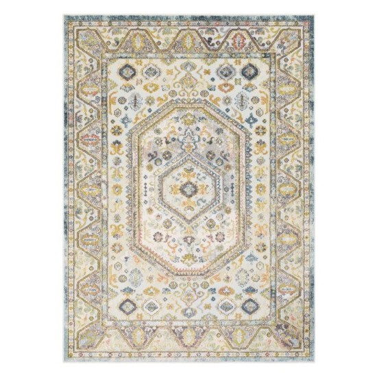 Surya New Mexico NWM-2331 5'3" x 7'3" Rug