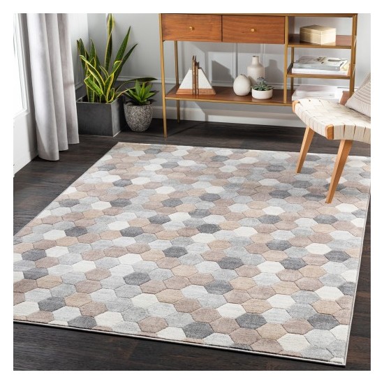 Surya Remy RMY-2301 5'3" x 7'3" Rug