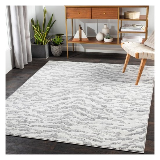 Surya Remy RMY-2303 5'3" x 7'3" Rug