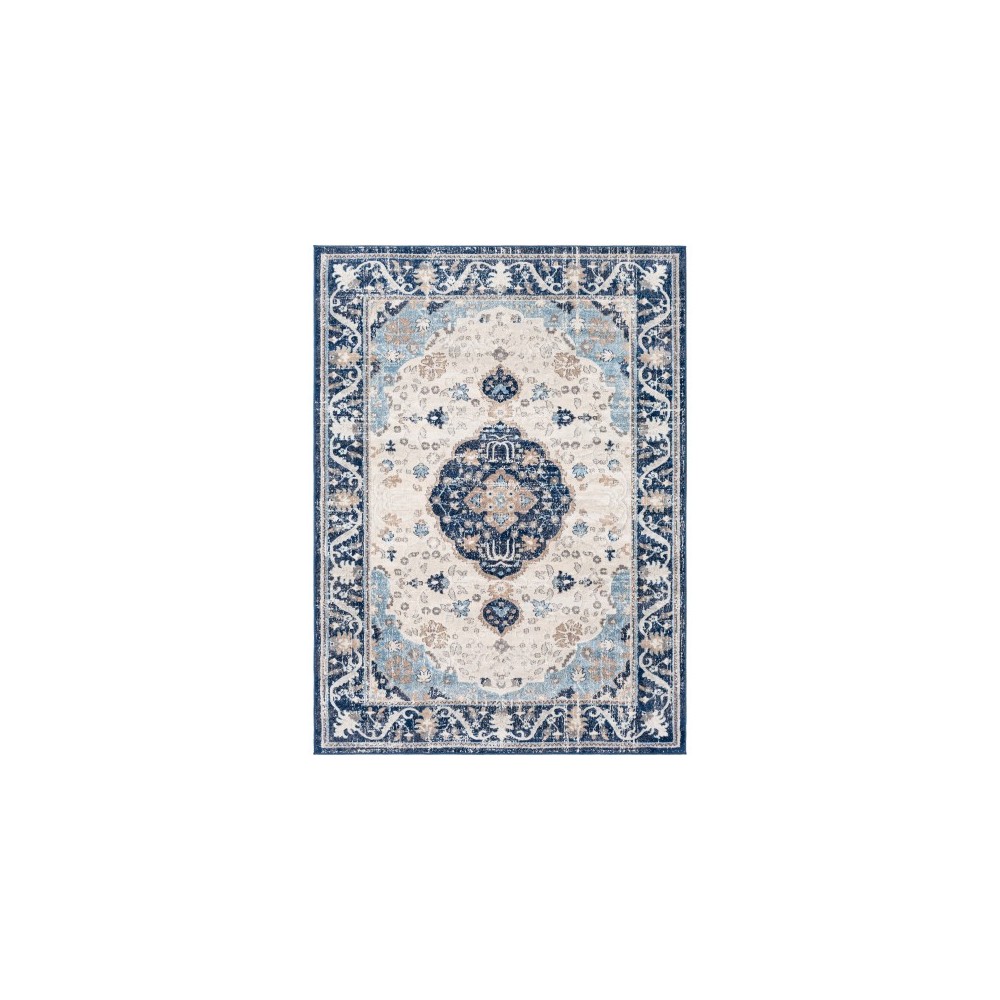 Surya Remy RMY-2308 5'3" x 7'3" Rug