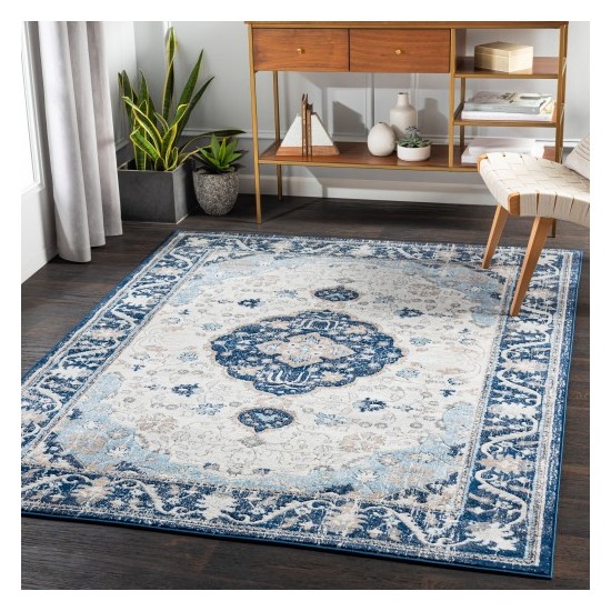 Surya Remy RMY-2308 5'3" x 7'3" Rug