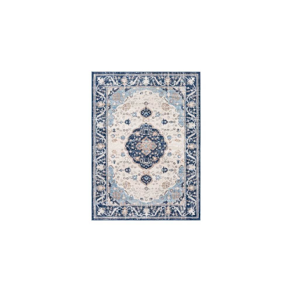 Surya Remy RMY-2308 7'10" x 10' Rug Surya Remy RMY-2308 7'10" x 10' Rug