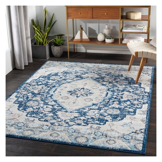 Surya Remy RMY-2310 5'3" x 7'3" Rug