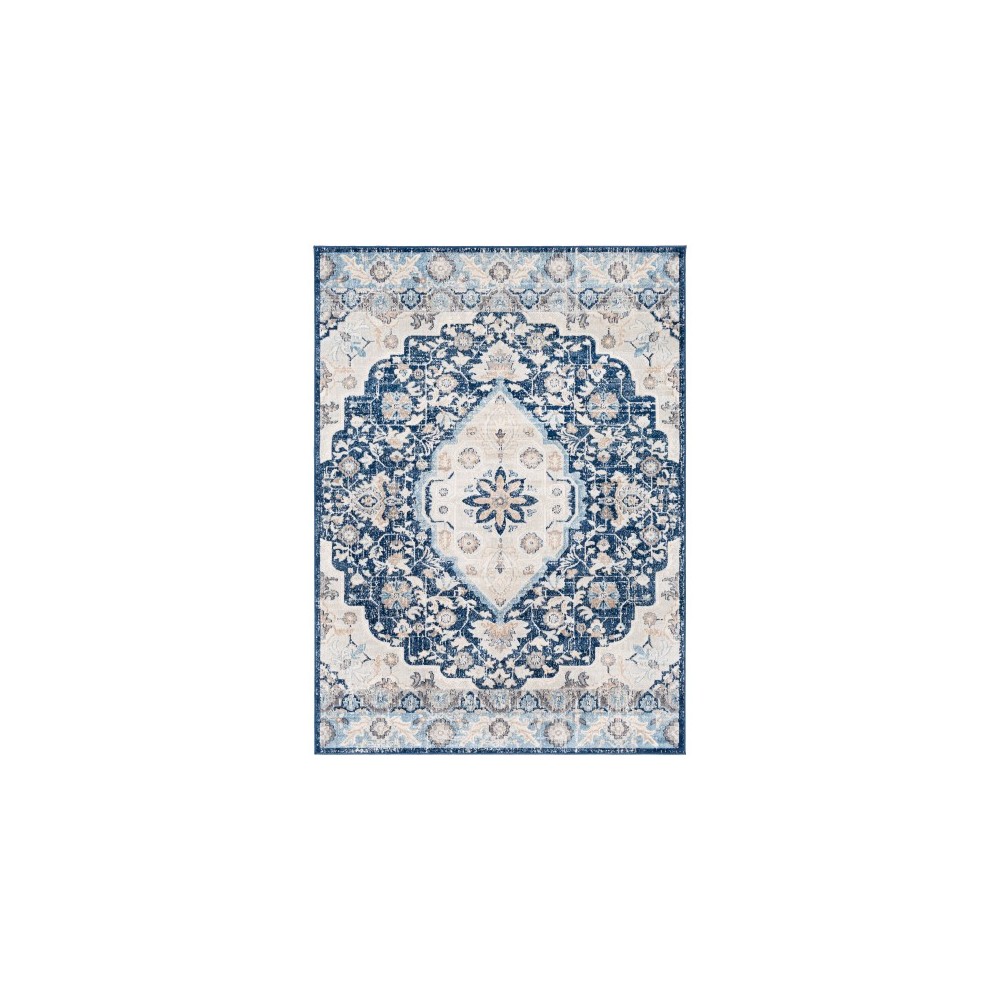 Surya Remy RMY-2310 7'10" x 10' Rug