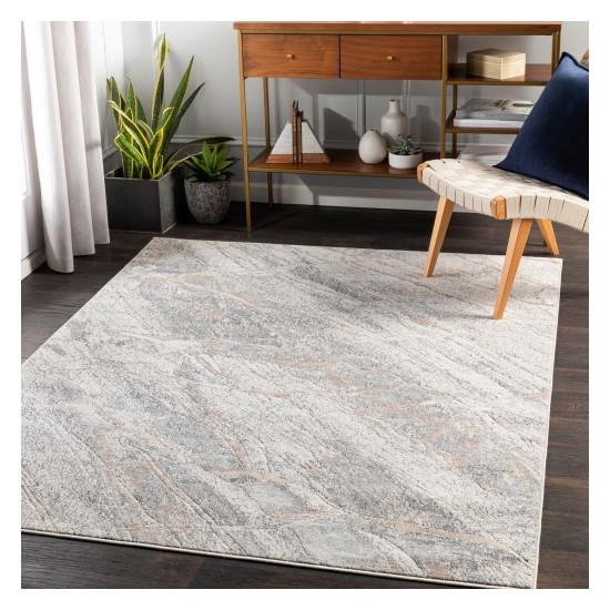 Surya Remy RMY-2313 5'3" x 7'3" Rug