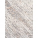 Surya Remy RMY-2313 7'10" x 10' Rug