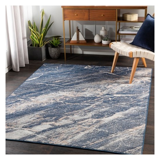 Surya Remy RMY-2314 5'3" x 7'3" Rug