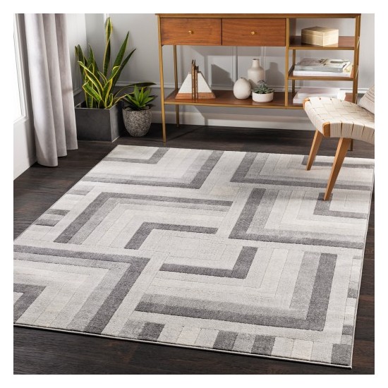 Surya Remy RMY-2316 5'3" x 7'3" Rug