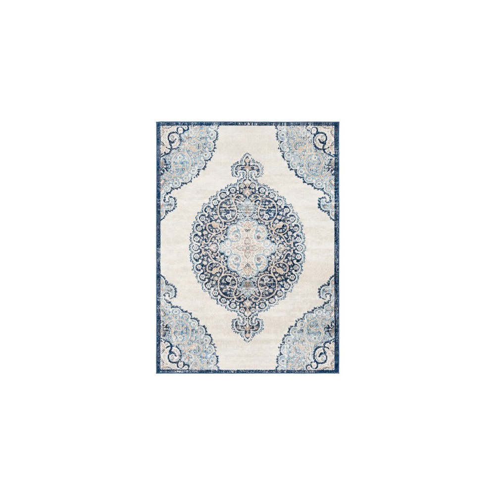 Surya Remy RMY-2318 5'3" x 7'3" Rug